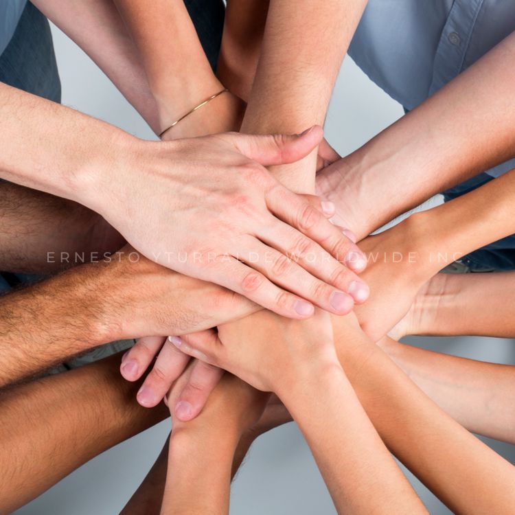 Jornadas de Integración y Team Building para fortalecer el trabajo en equipo